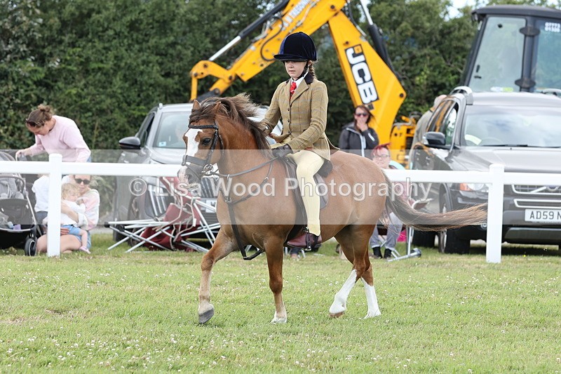 JPP_1924 - Class 18: Tiny Tots Working Hunter Pony