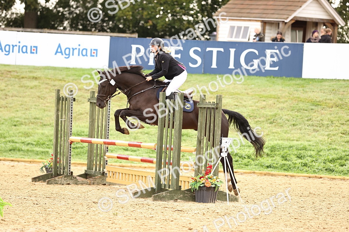 SBM_58471 - J41 - Grand Tour Horse & Pony 95cm