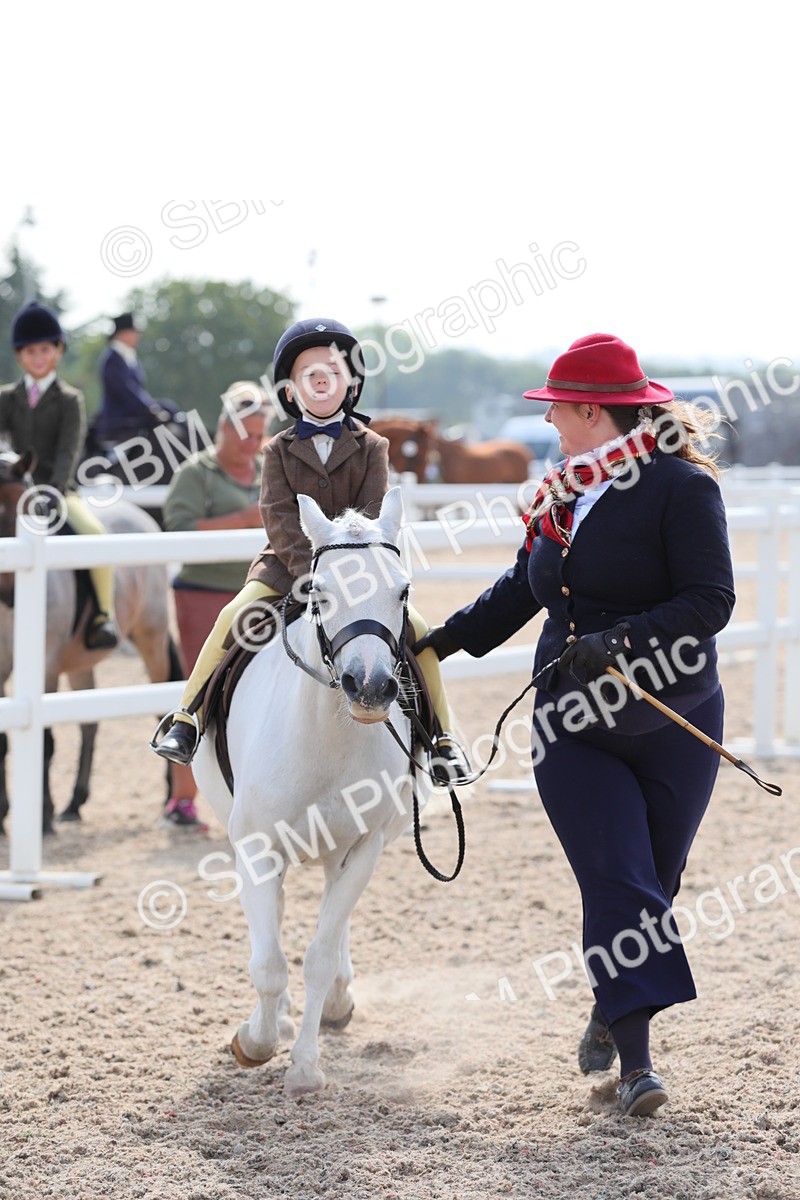 SBM_14021 - Class 309 Lead Rein Pony
