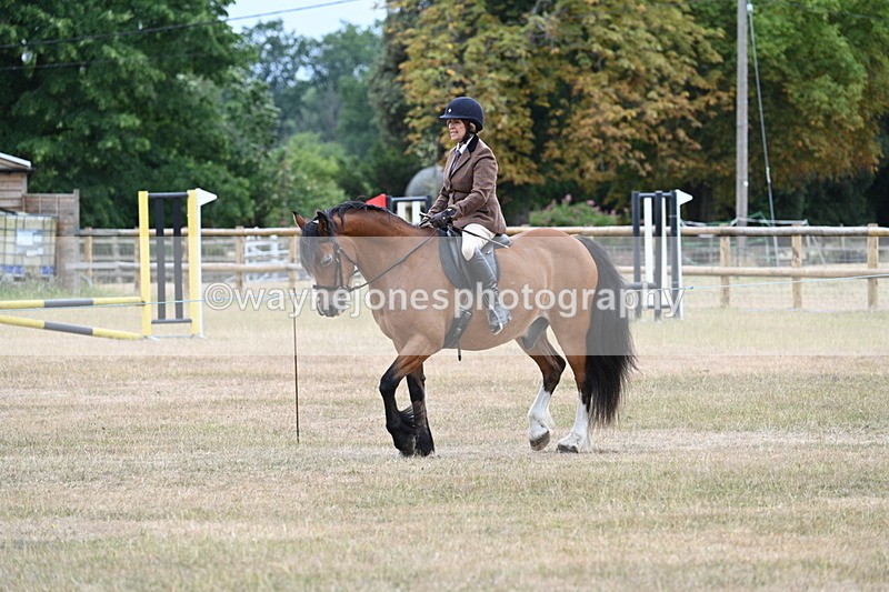 WJ7_0311 - Class 6 Ridden Mountain and Moorland