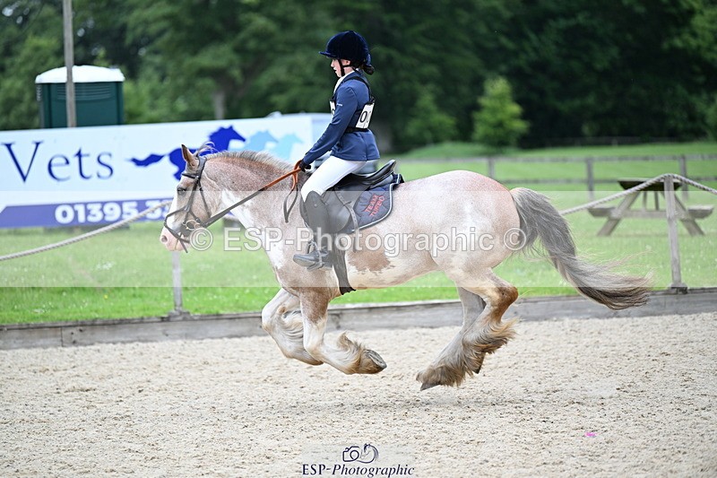 250622A-120459-01364 - 60cm