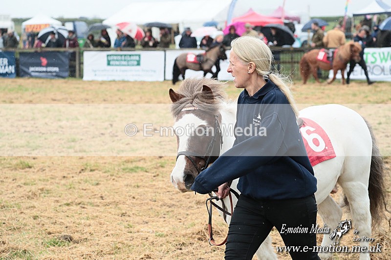 SHETPR 210425 7 - Shetland Ponies Paxford Races 21/04/25