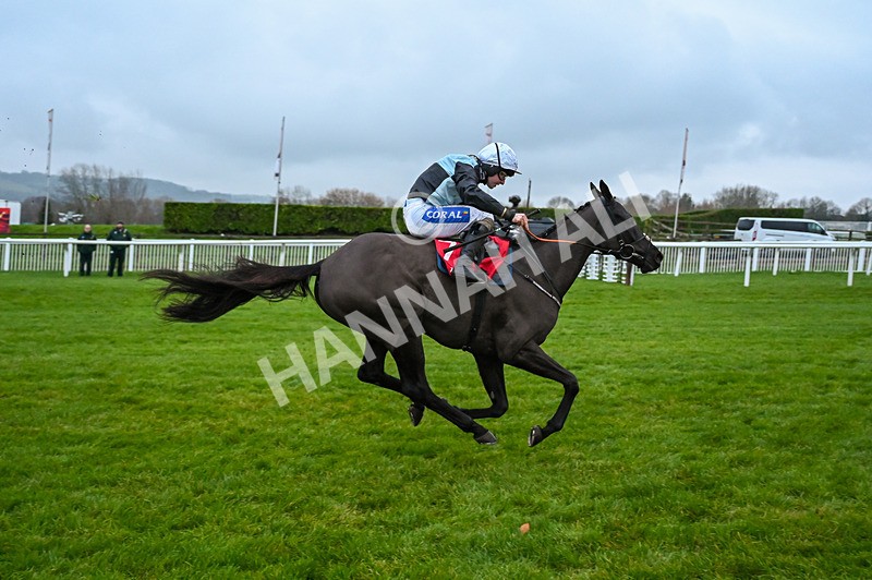 131224-Race 7-Long Draw-0203 - Race 7
