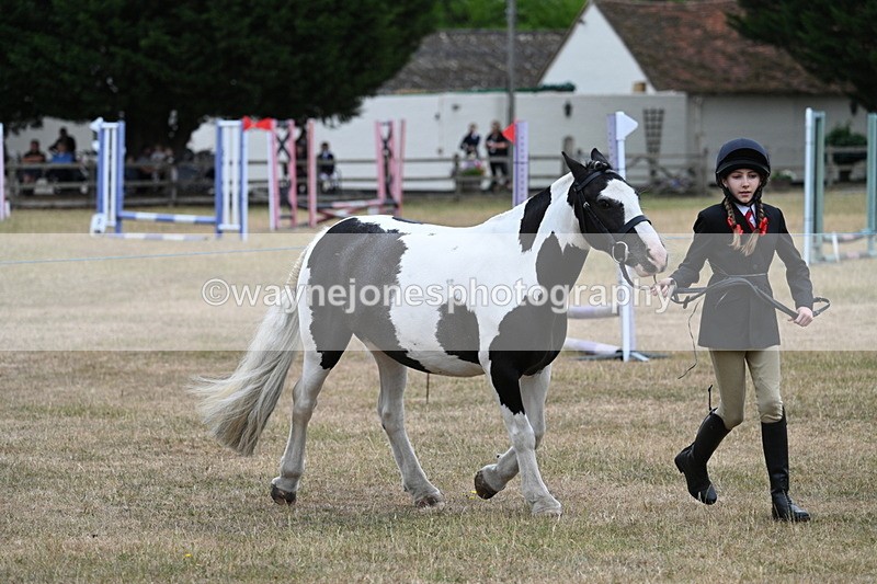 WJ7_8283 - Class 4 Prettiest Mare up to 14.2hh