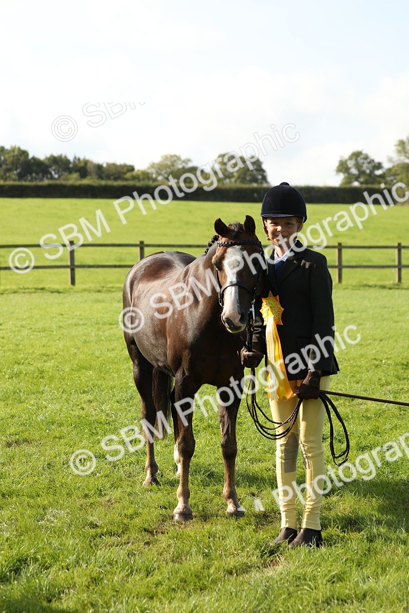 SBM_61066 - S44 - Part Bred Pony In hand