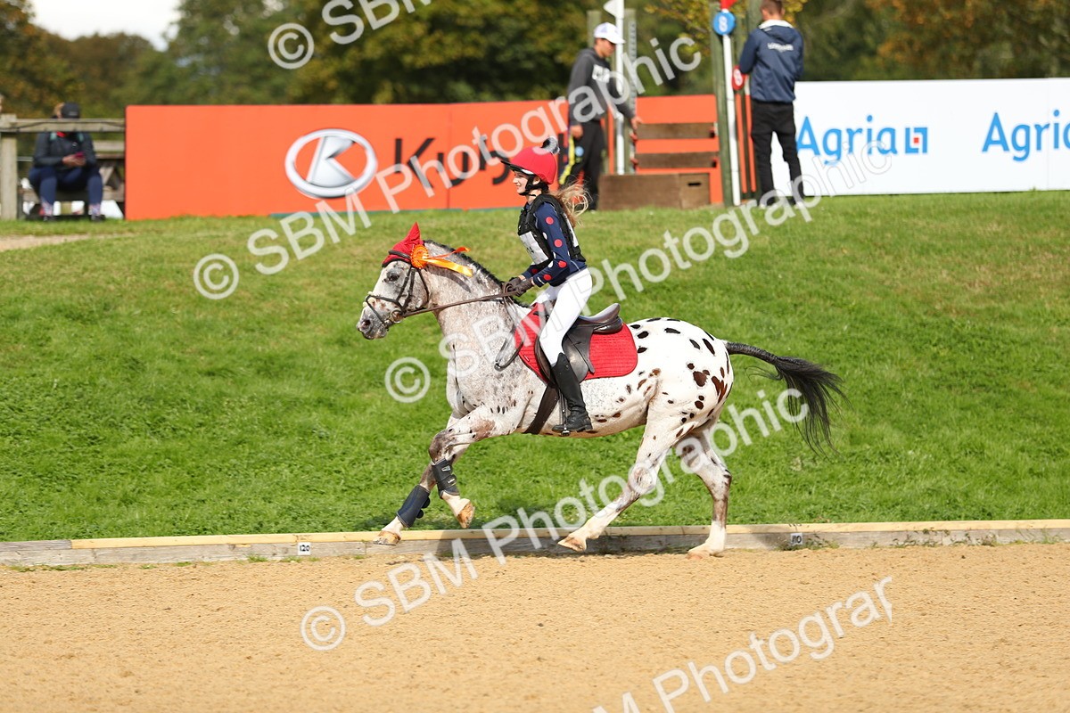 SBM_08112 - E4 Eventers Challenge 80cm Open