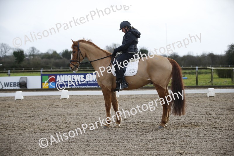 20260127-0346 - Class 16 - BD Novice 2