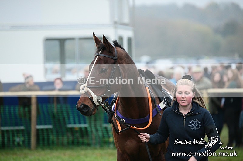 PtP 091124  446 - Knightwick Races Point-to-Point 09/11/24