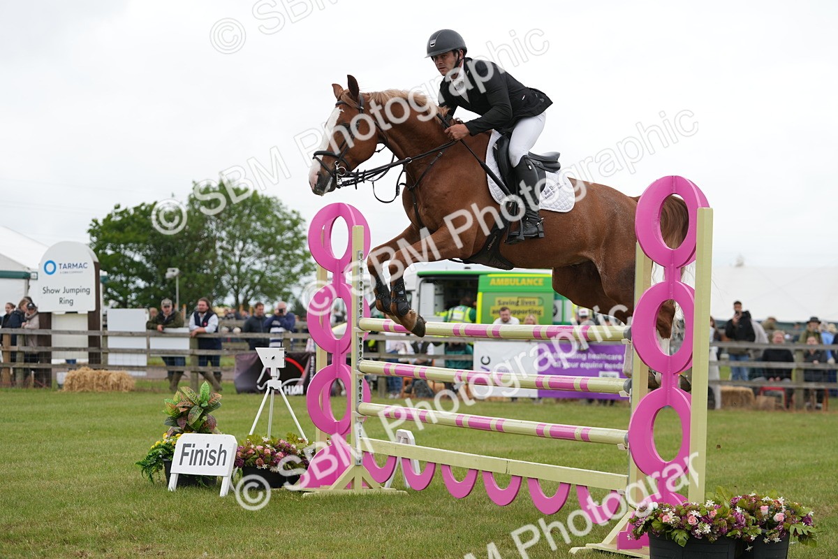 SBM_05299 - Class 201 - British Horse Feeds Speedi Beet Horse of the Year Show Grade  C
