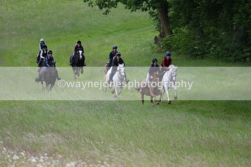 WJ7_8495 - Group 1 10am