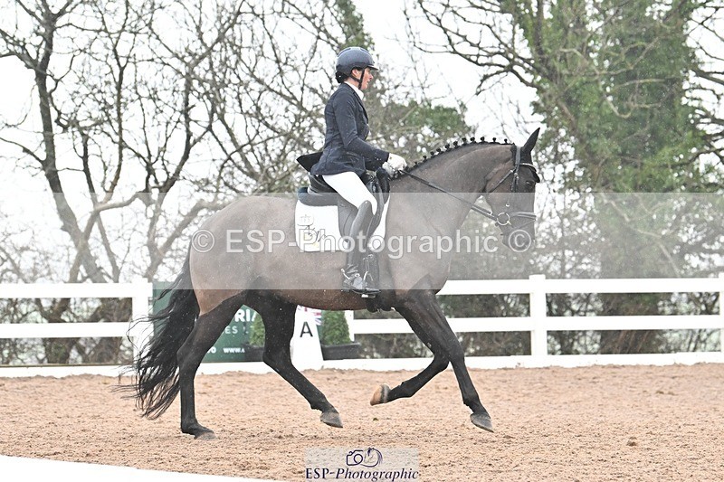 250215-133241-03885 - 165-Elder.Klatzko-Dynasty.Hit