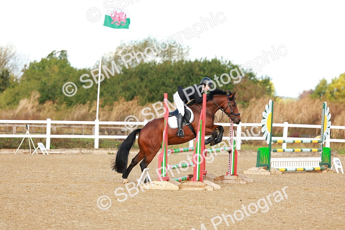 SBM_000317 - Class 2 - Senior British Novice - 90cm