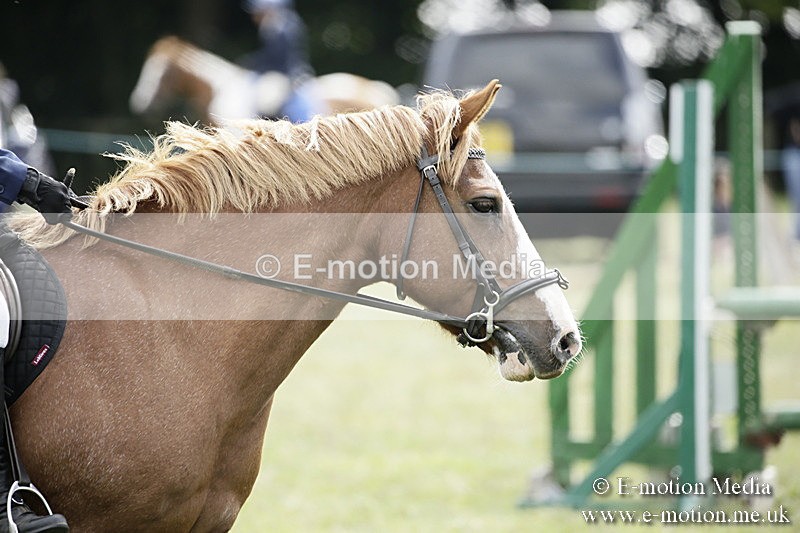 BVR090918 593 - BVRC Dressage and Show Jumping 09/09/18