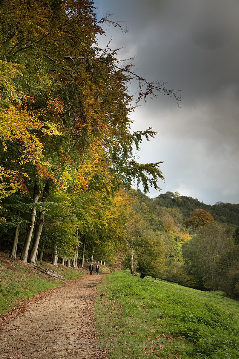  - Autumn