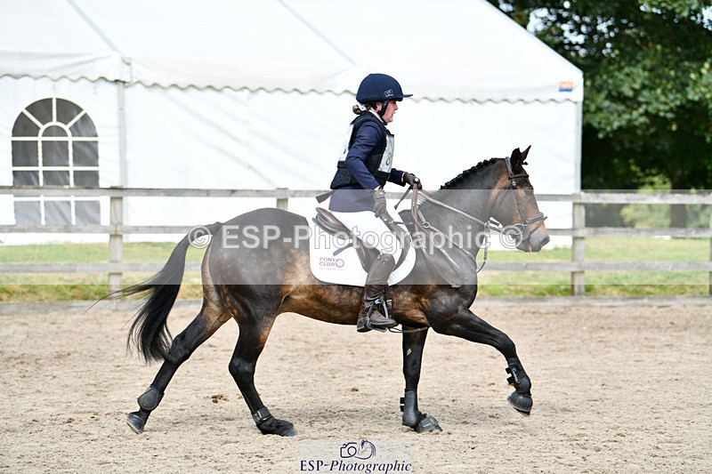 240825X-151705-35889 - 80cm SJ 14.00 to 15.55