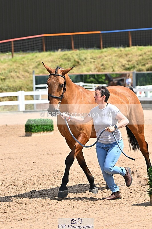 240718A-105300-01427 - Trot Up 12pm to 1pm