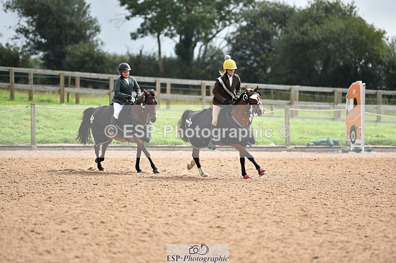 230902A-120822-00931 - Cls 2B Pony Small 80cm