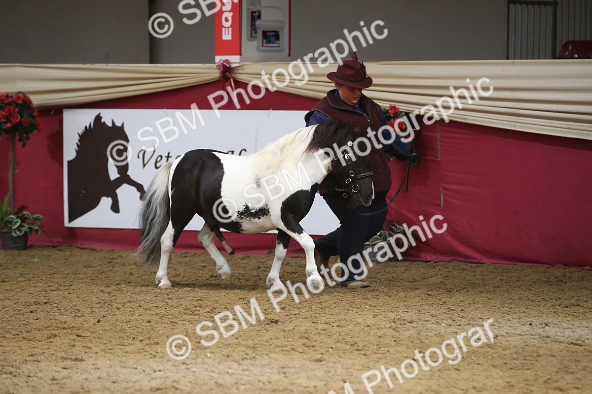 SBM_05598 - Class 9R - Regional IH Pre-Vet