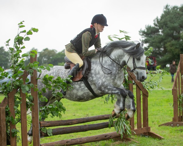 Dunblane show-277 - Dunblane and Doune Show Ring 1