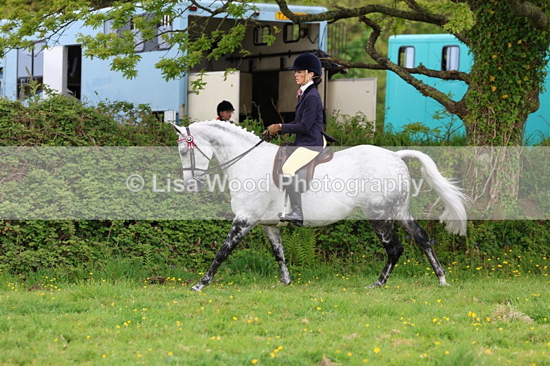 3E7A2113 - Class 11: Ridden Arab