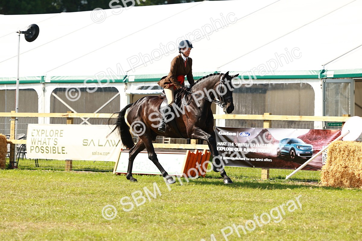 SBM_11963 - Class 66-69 - RIHS Ridden Hunters Inc Small Hunter