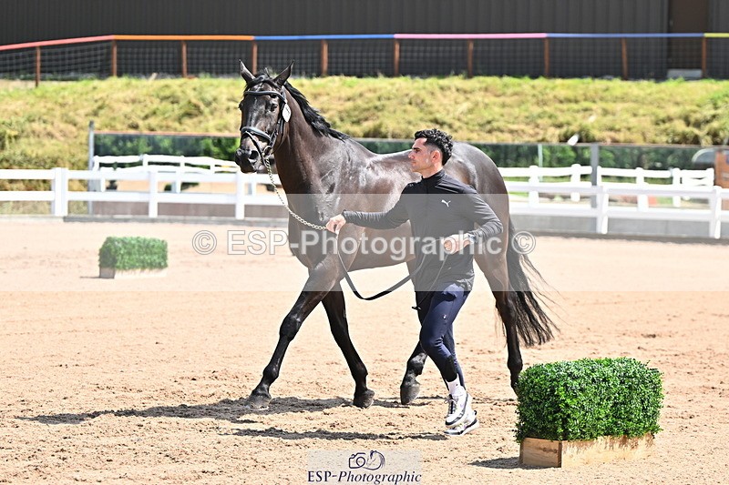240718A-105244-01099 - Trot Up 12pm to 1pm