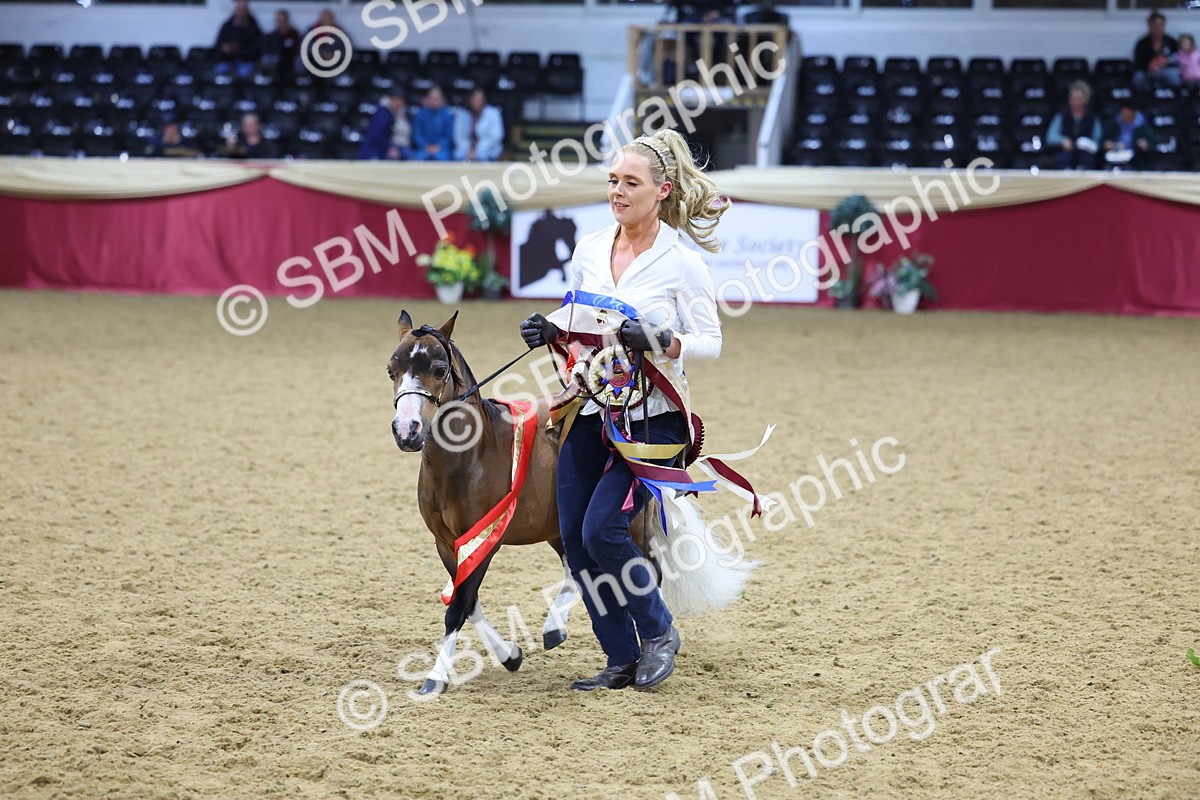 SBM_18752 - Class D IH Pony Champ