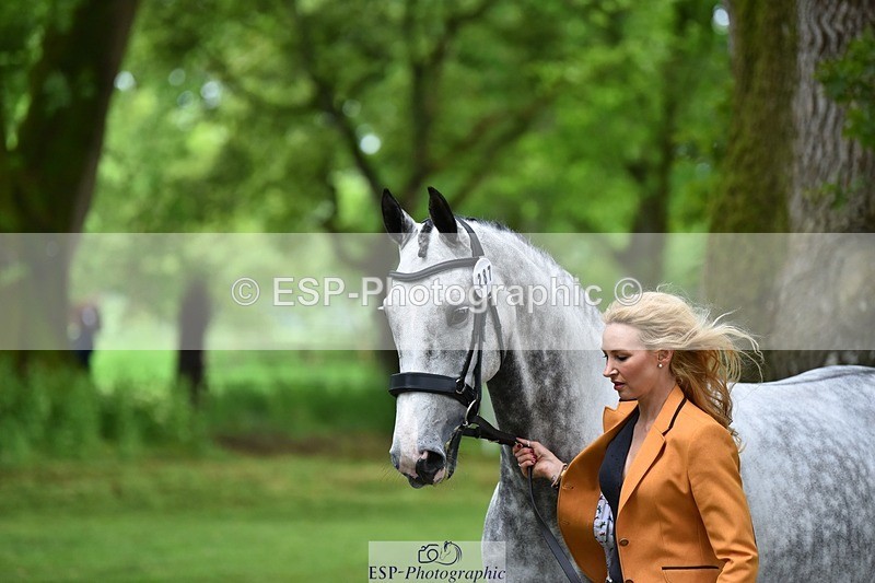 240522-172710-01616 - 287-HEY_DIXIE-Sammy_Harfield