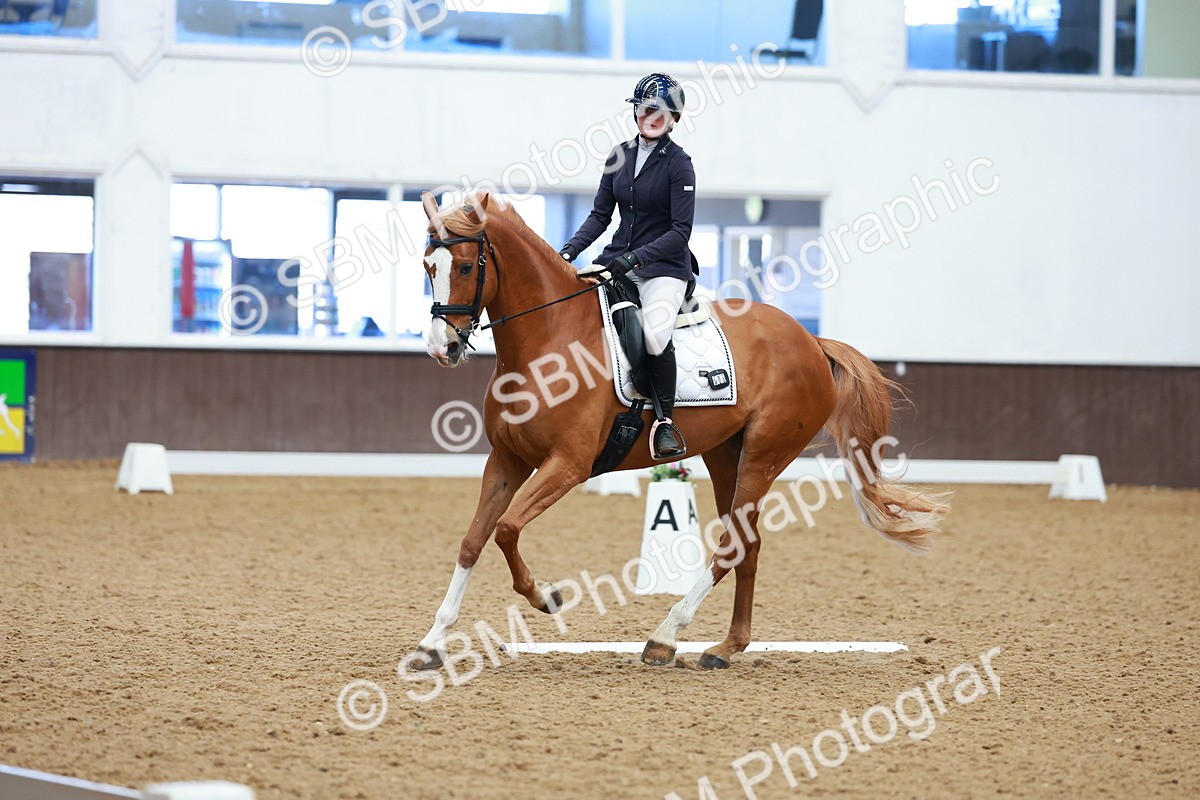SBM_002859 - Class 14 - Novice 2