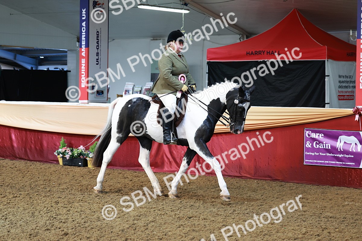 SBM_12023 - Class 102 - Equitation (Best Rider) Adult