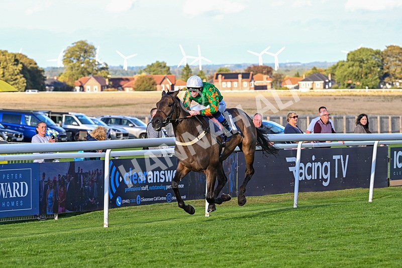 170925-Race 7-Sonic Pioneer-6202 - Race 7