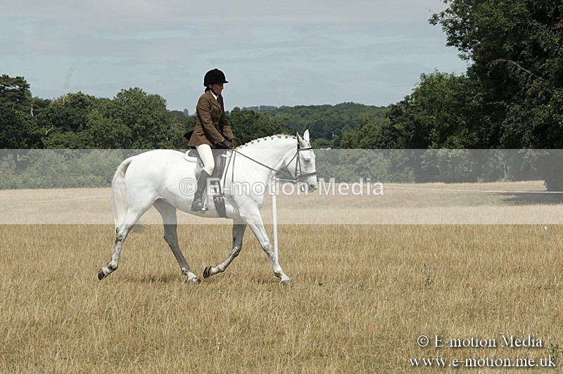 _PJP6003 - BVRC Show 2018 Ring 1