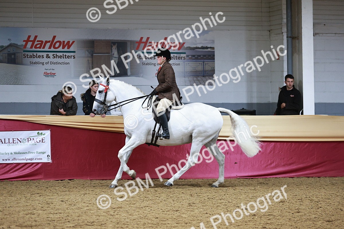 SBM_03485 - Class 6A Area Ridden Pre-Vet