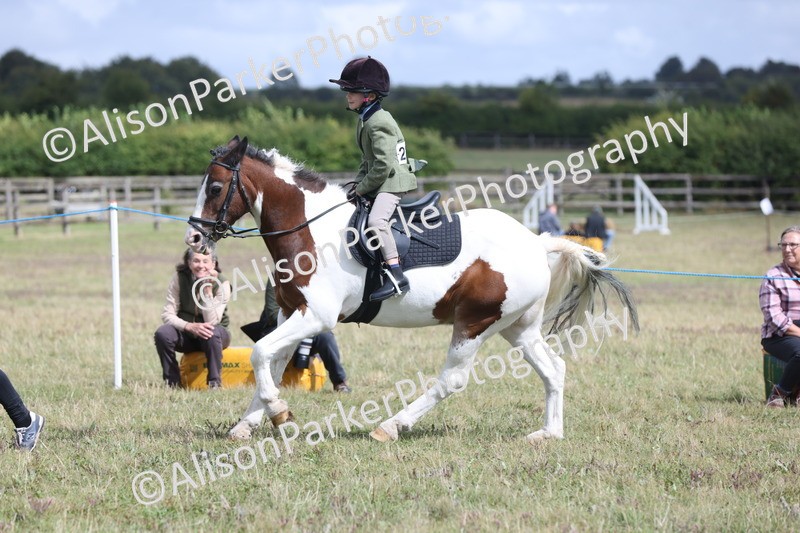 20250831-4321 - Class 20 - Ridden Coloured