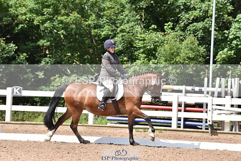 240706A-145638-03345 - Cls 4C Snr Novice 23