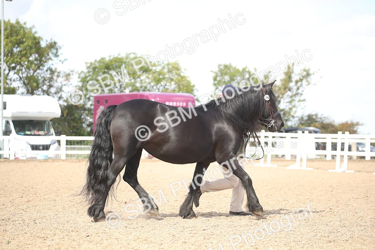 SBM_23084 - Class 606 - 2026 - Area - IH Pre Vet