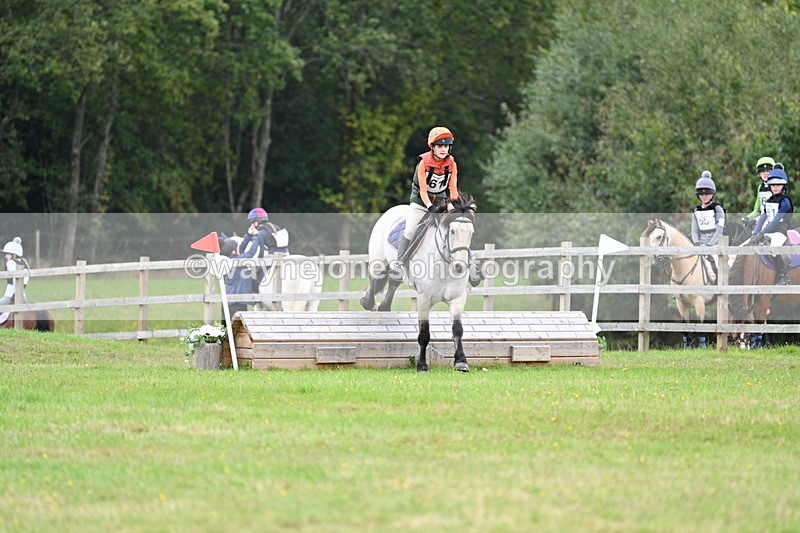 WJ7_8695 - 60cm Time 12:31 to 12:50