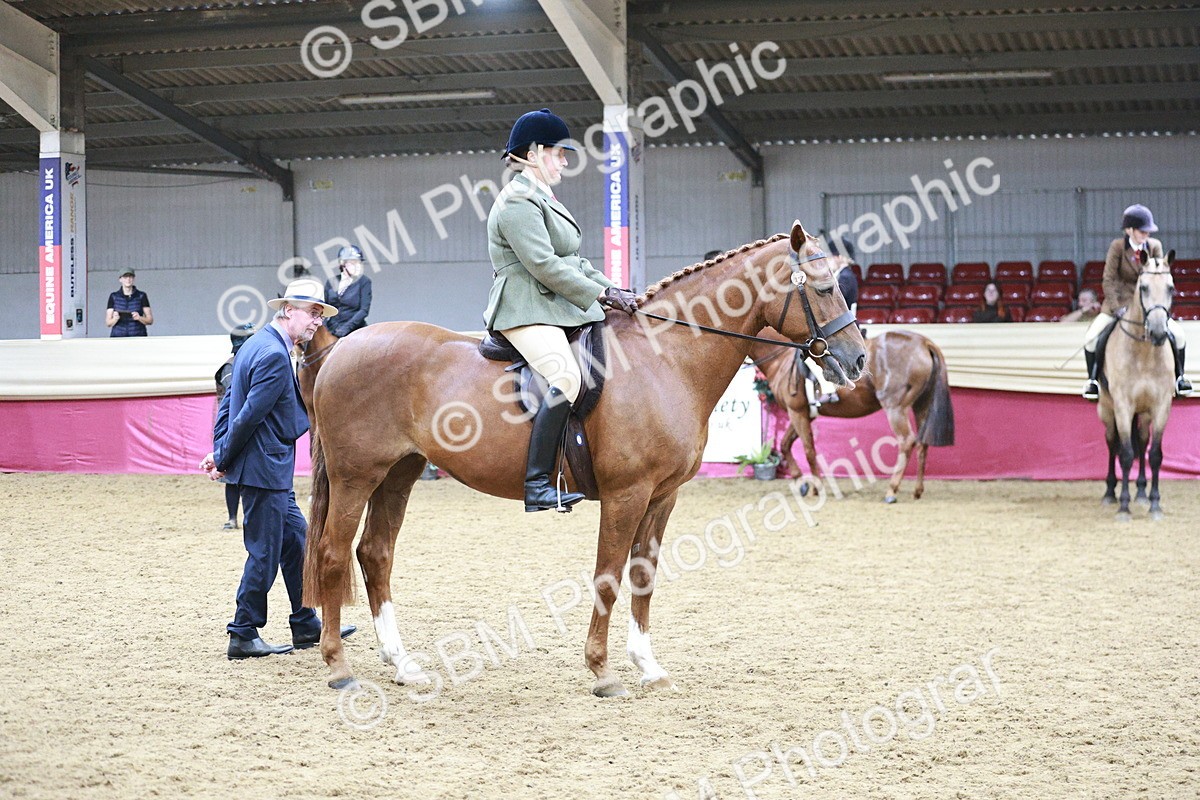 SBM_03385 - Class 6A Area Ridden Pre-Vet
