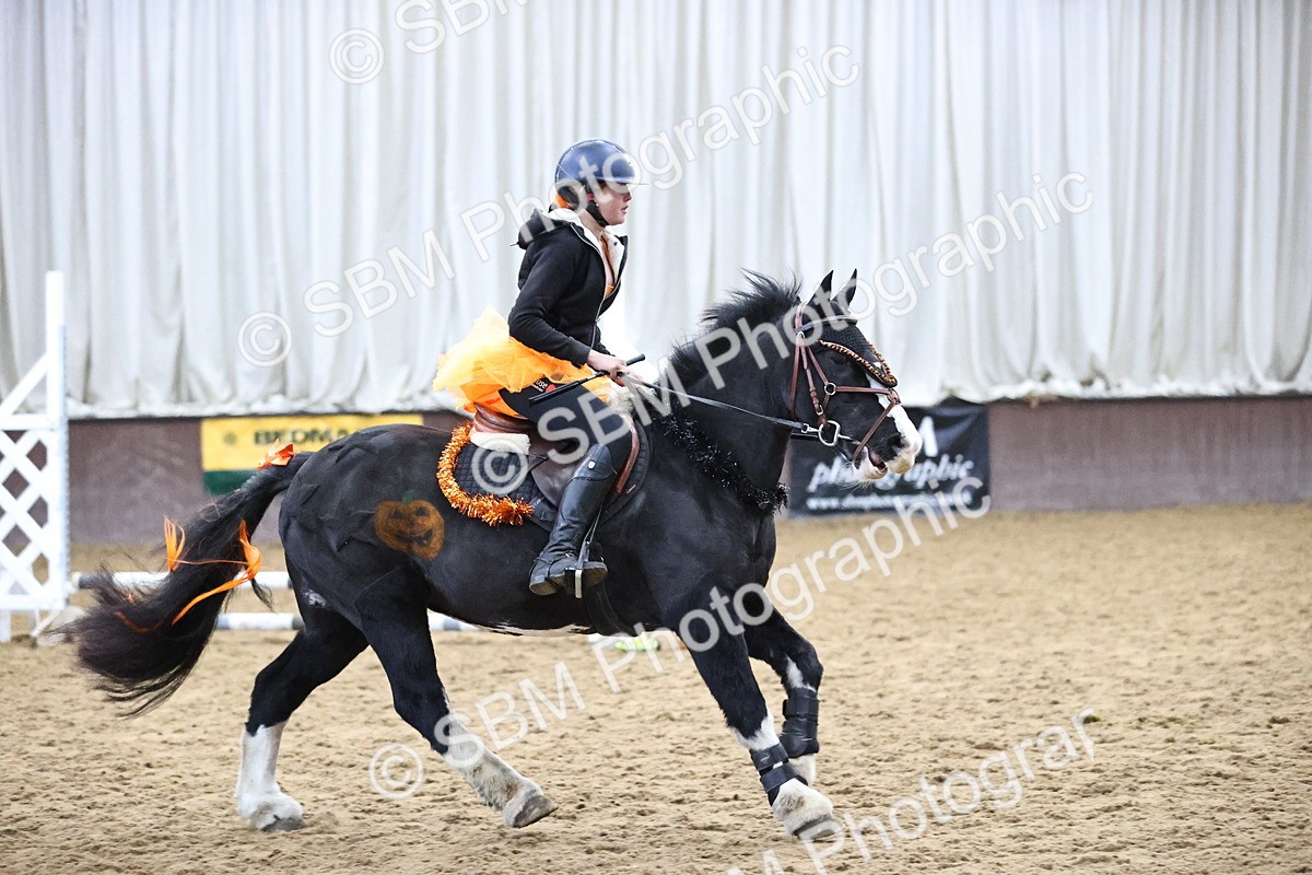 SBM_000303 - Class 2 - Show Jumping 50cm