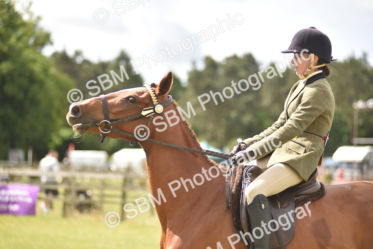 SBM_15116 - Class 113-114 - Retraining of Racehorses Ridden