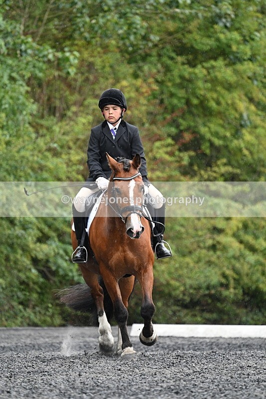 WJ7_6097 - Time 11:38 to 12:03