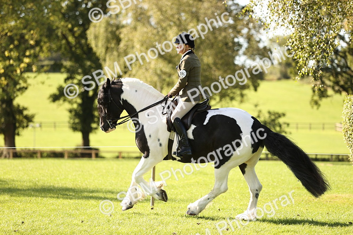 SBM_16930 - S2 - TSR Ridden Pony Showing