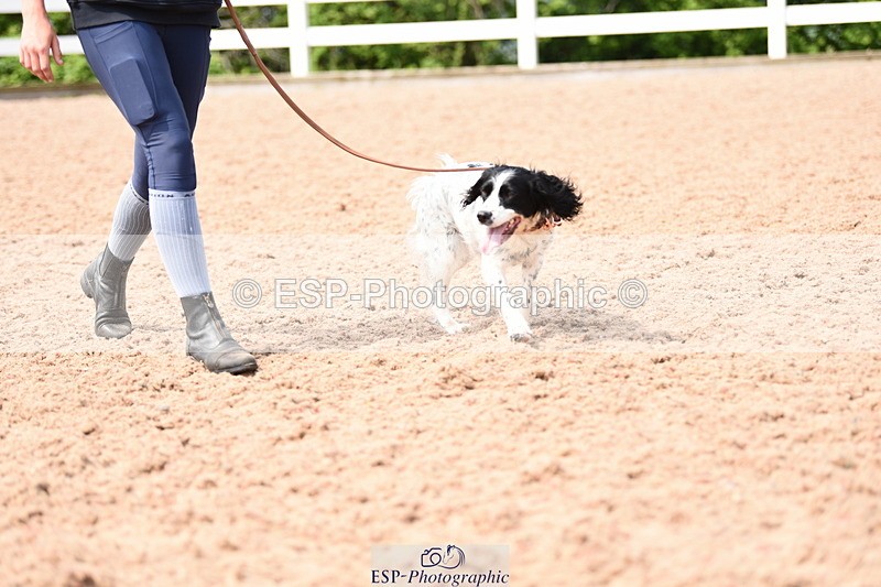 240518A-114946-00838 - Cls 2 Prettist Bitch