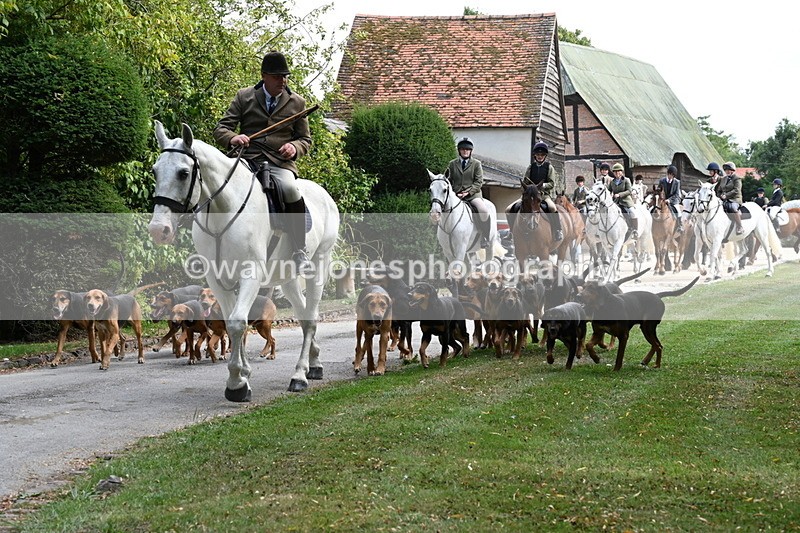 WJ6_3928 - Berks & Bucks - The Old farmhouse - Hound Exercise 20-08-25
