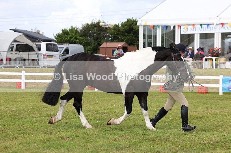 3E7A0406 - Class 6: Rising Star Maxi Cobs