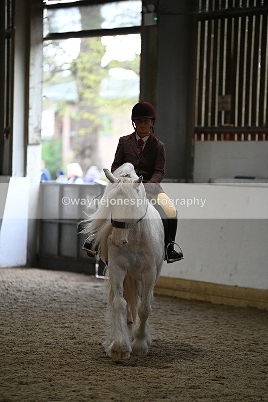 WJ7_4171 - Class 17 Ridden Cob