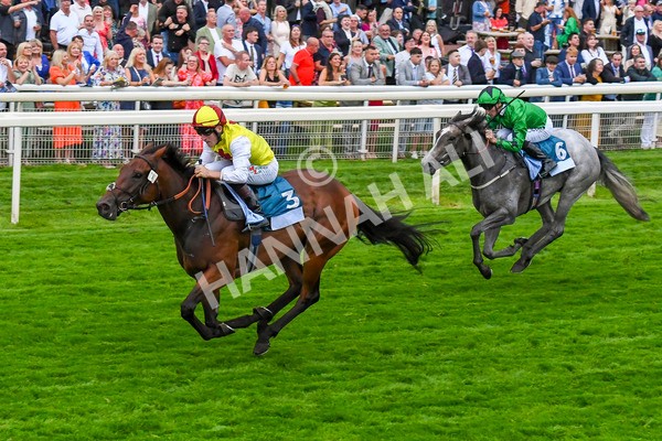 280723-Race 7-Knebworth-0796 - Race 7 8.20pm Sky Bet Go-Racing-In-Yorkshire Summer Festival Handicap