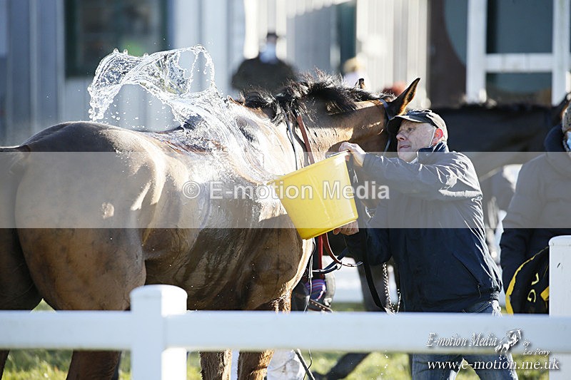 PtP 121220 379 - Avon Vale Races Larkhill 12/12/20