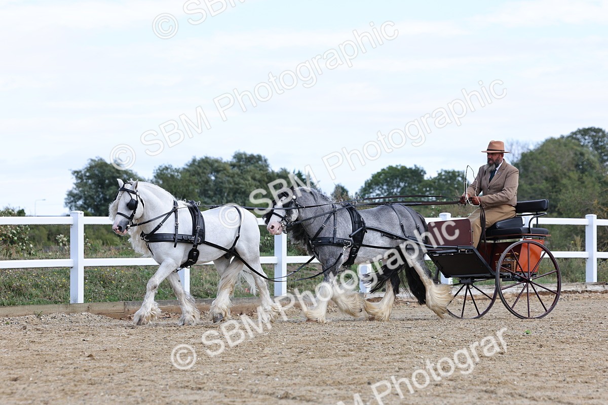 SBM_001188 - Class 16 - Pairs ,Multiples and Tandems