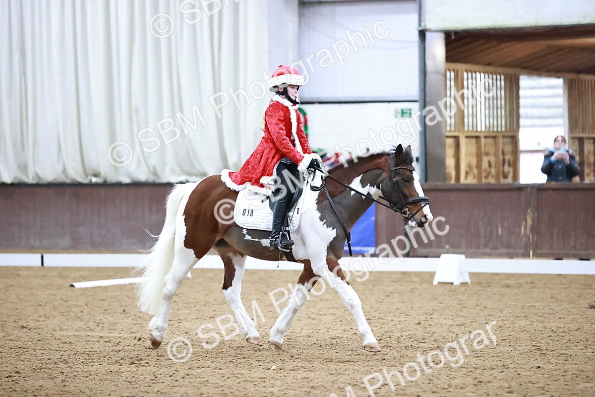 SBM_000201 - Class 1-4 - Intro - Prelim 1